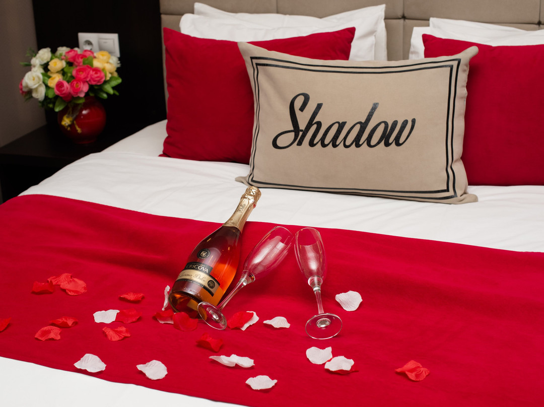Cricova酒店住宿-Shadow Boutique Hotel & Spa