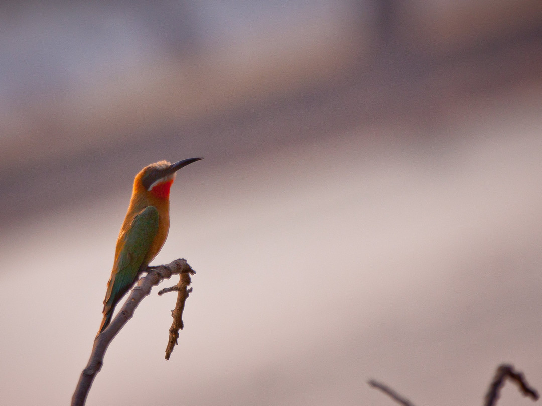 Self Drive Zim-哈拉雷必去景点