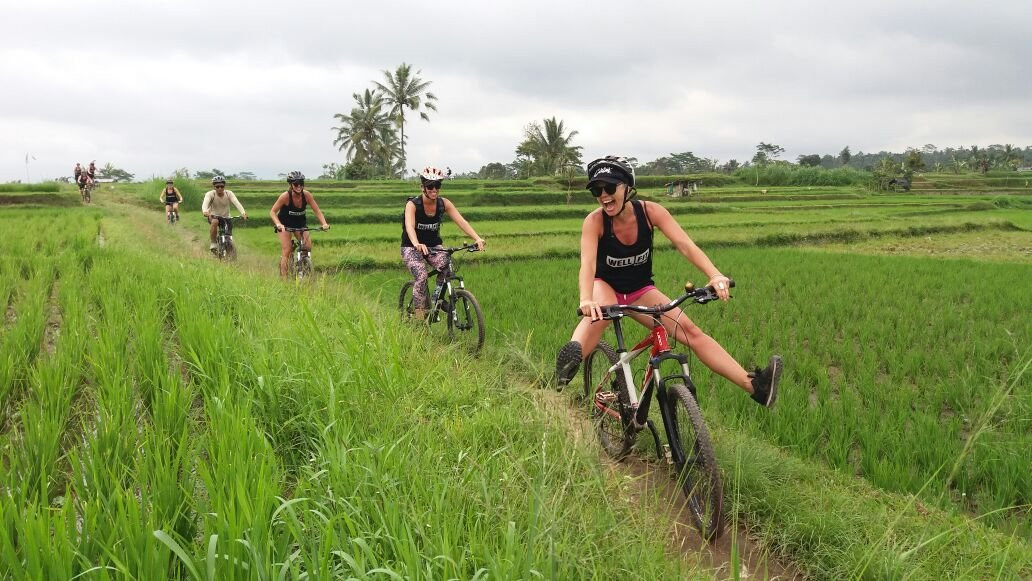 Taro旅游攻略图片
