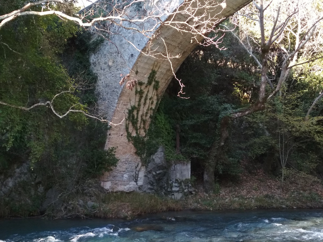 Lousios River-Dimitsana必去景点