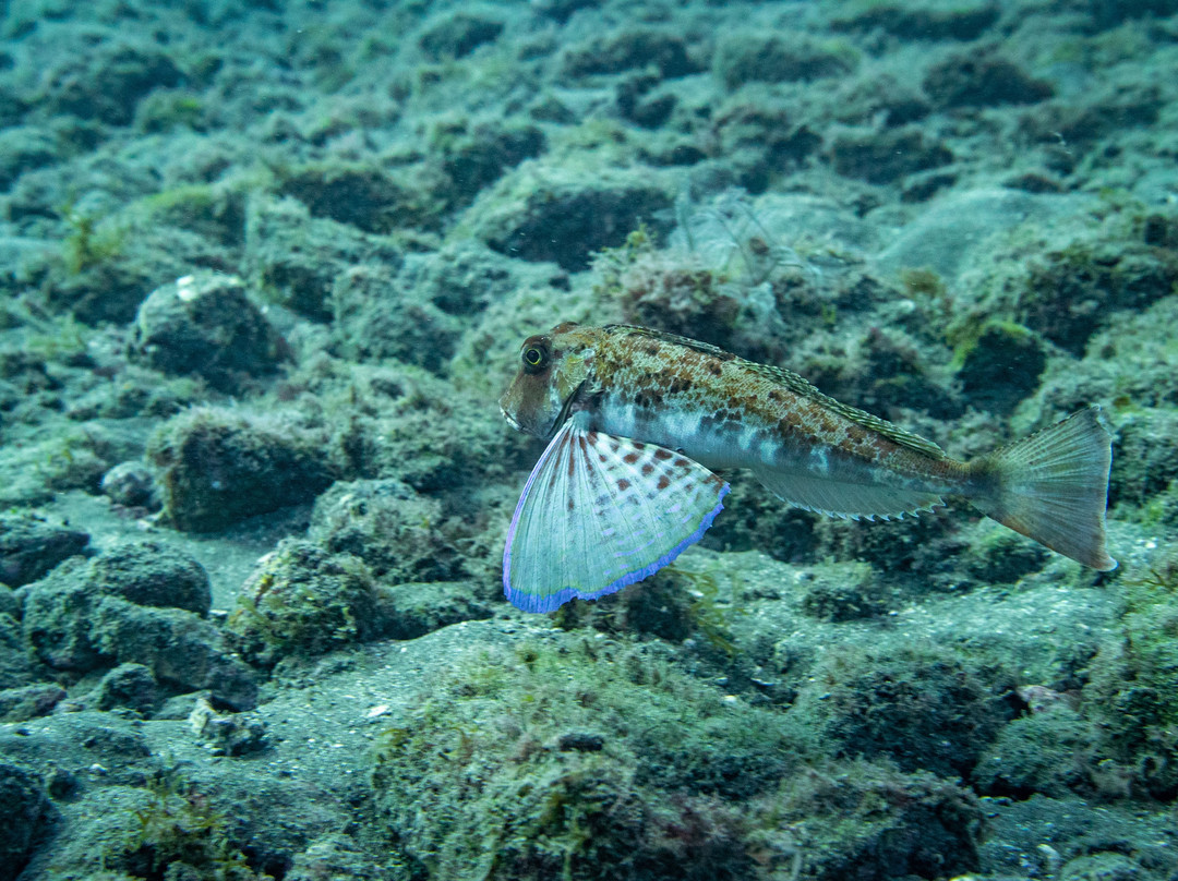 Piscinas Naturales Los Abrigos-Los Abrigos必去景点