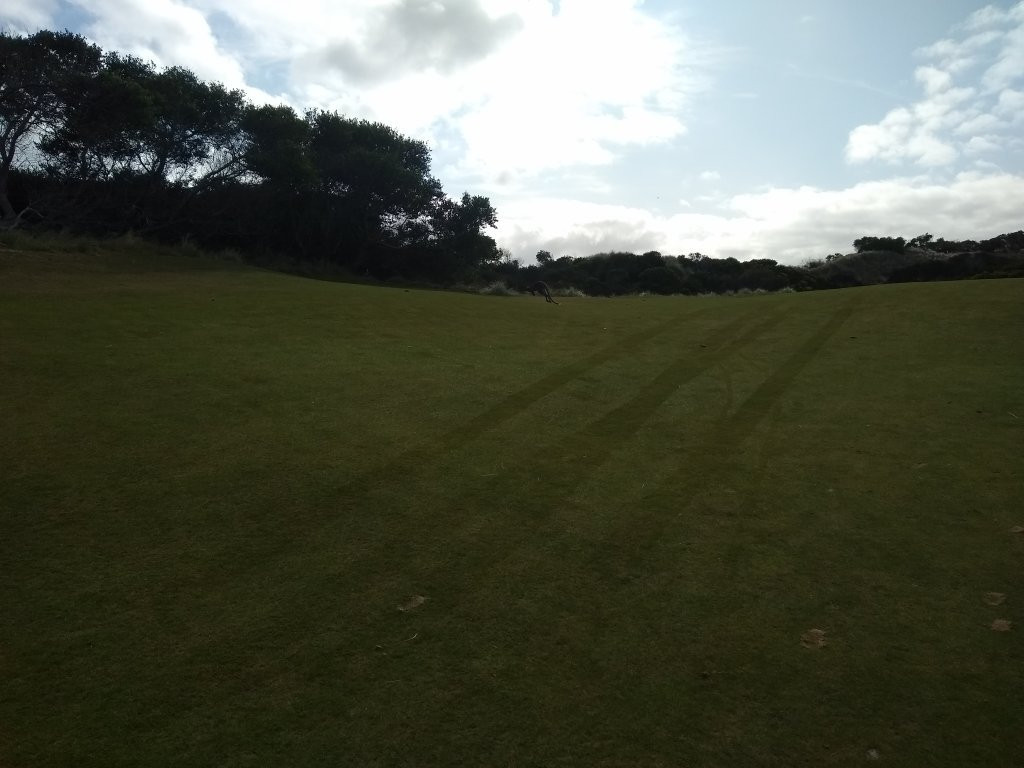 Lost Farm Barnbougle Golf Course景点图片