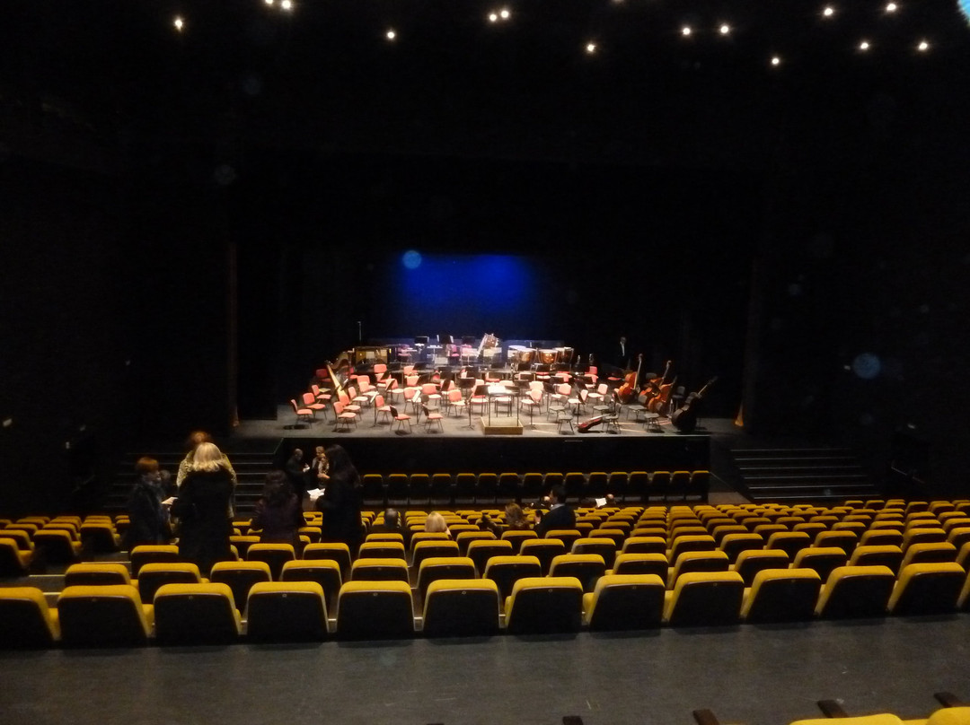 Teatro Auditorio Felipe VI景点图片