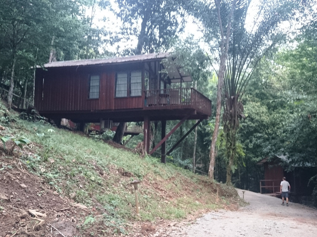 Bergendal Eco & Cultural River Resort主图