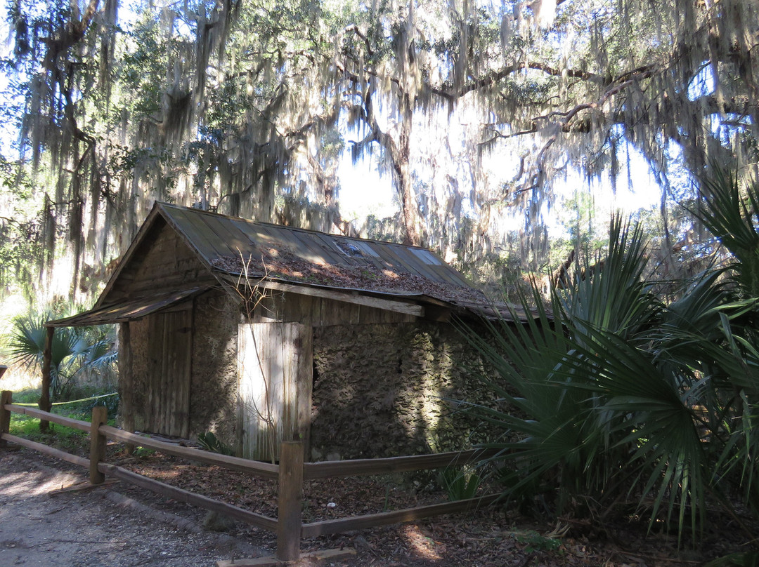 Cannon's Point Preserve-圣西蒙斯岛必去景点