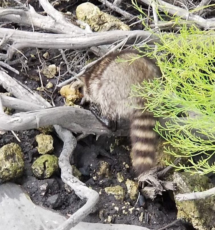 Gary Maidhof Walk to Nature trail-克里斯特尔里弗必去景点