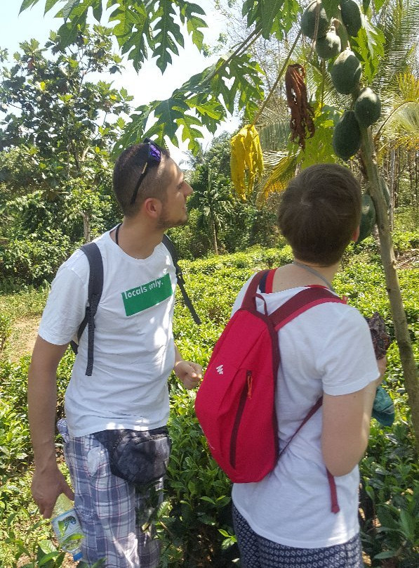 Ratna Gem Halt主图