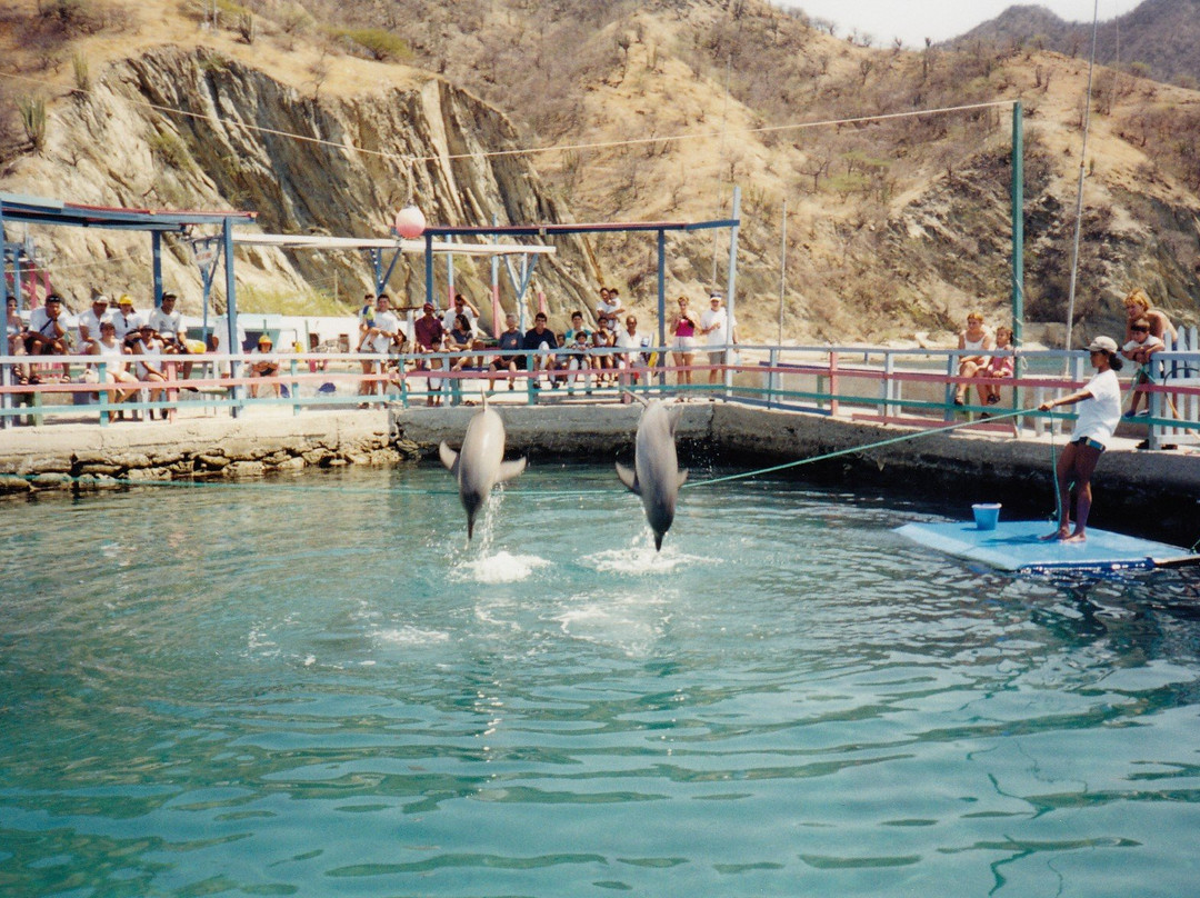 Rodadero Sea Aquarium and Museum-圣玛尔塔必去景点