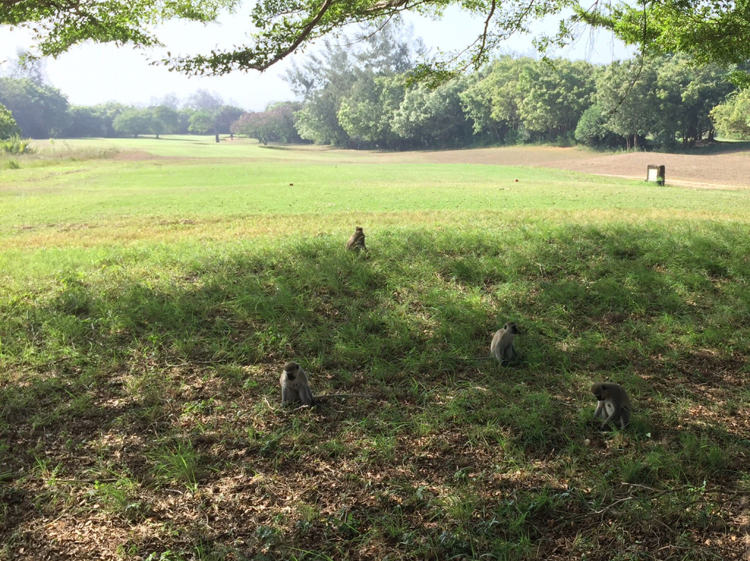 Leisure Golf Club景点图片