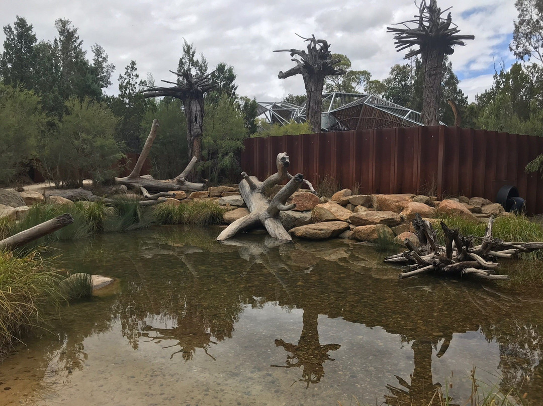 Rio Tinto Naturescape Kings Park-珀斯必去景点