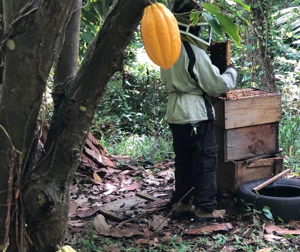 Tri-Island Chocolate Factory-La Mode必去景点