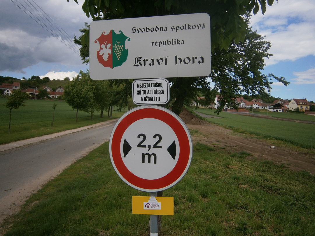 Lookout Mountain Cow-Boretice必去景点