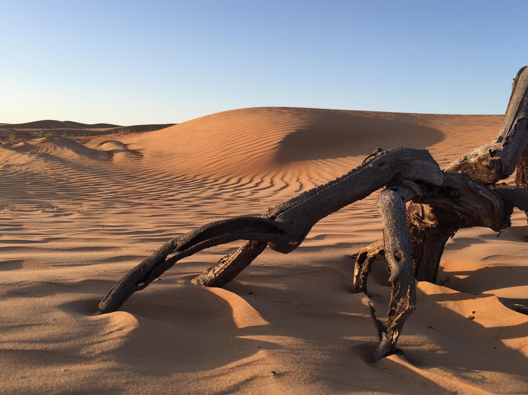 Oriental Nights Rest House (Tour Operator )-Al Sharqiyah必去景点