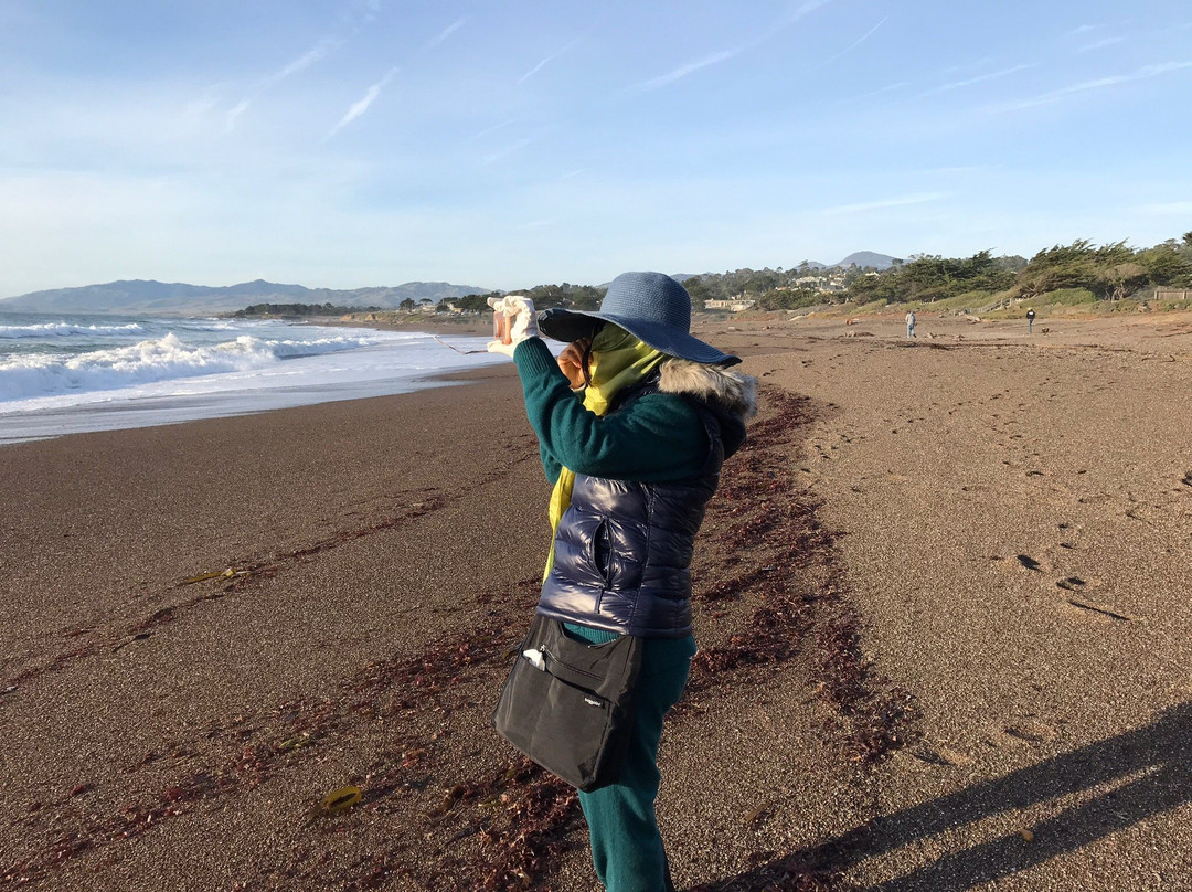 Shamel Park-坎布里亚必去景点
