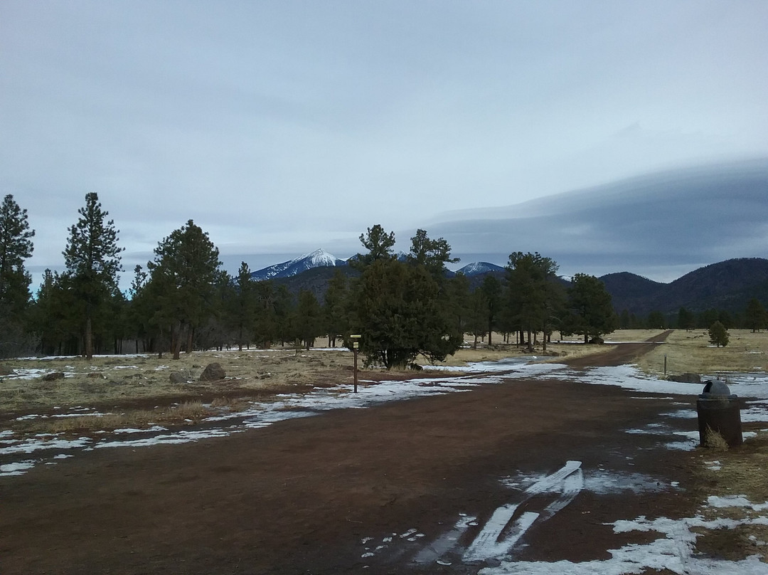 Buffalo Park-弗拉格斯塔夫必去景点