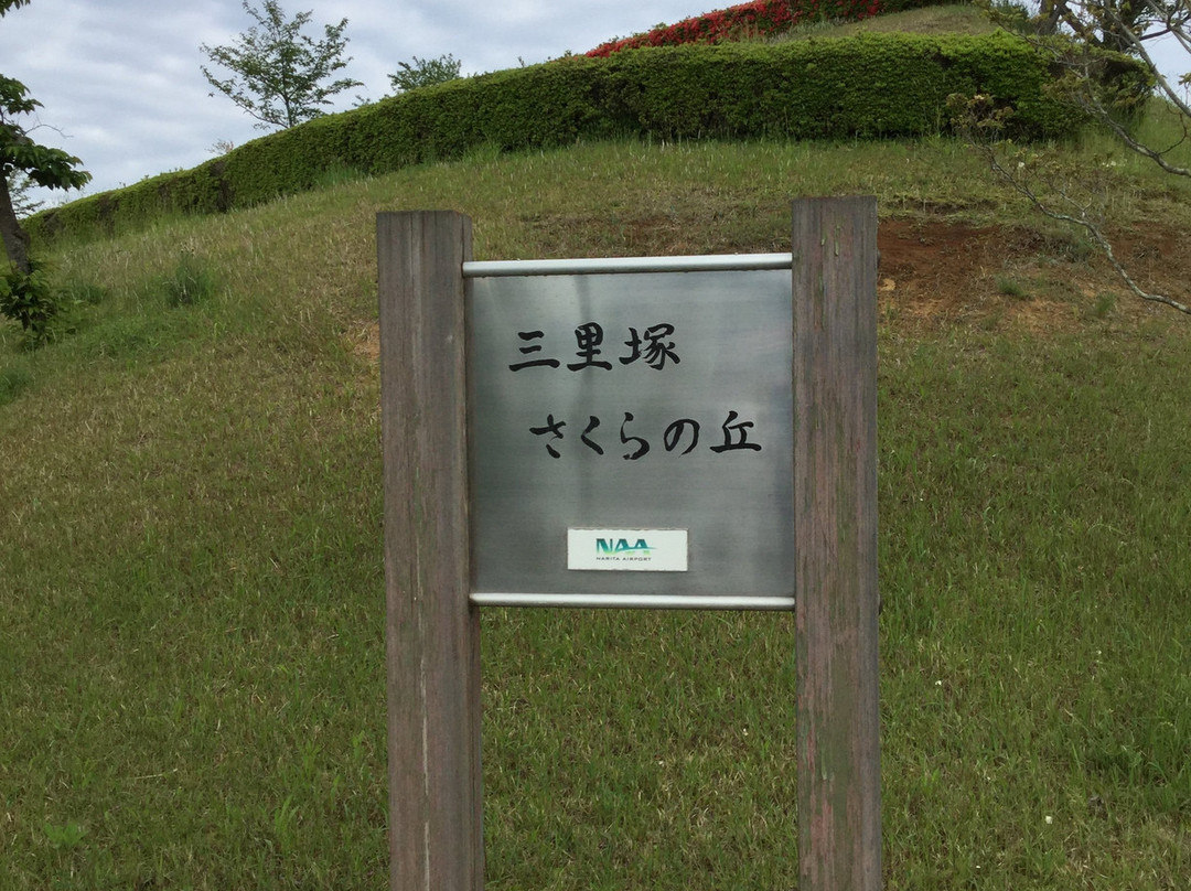 Sanrizuka Sakura no Oka-成田市必去景点