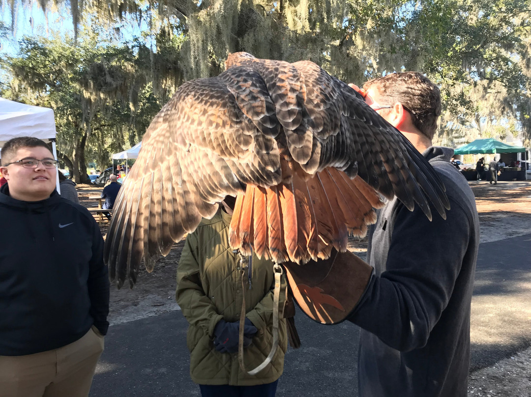 Port Royal Farmers Market-Port Royal必去景点