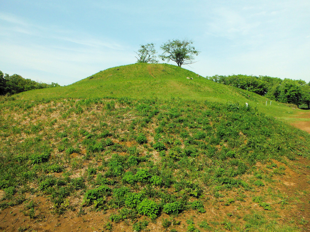 Iwaya Ancient Tomb景点图片