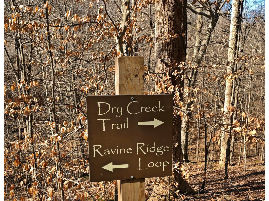 Timberland Park-富兰克林必去景点