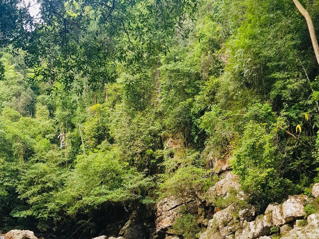 Taman Negara景点图片