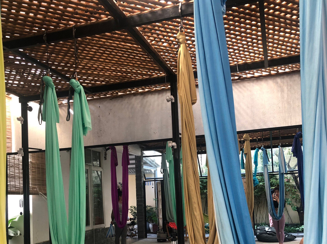 Go To The Mat By Avi景点图片