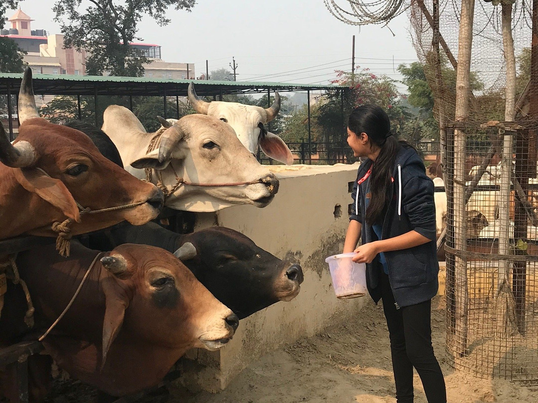 Love Braj-Vrindavan必去景点