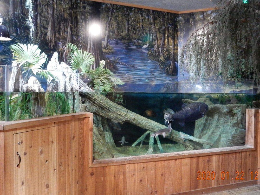 The Loxahatchee River Center-朱庇特必去景点