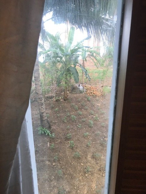 Pearl Park Beach Resort主图