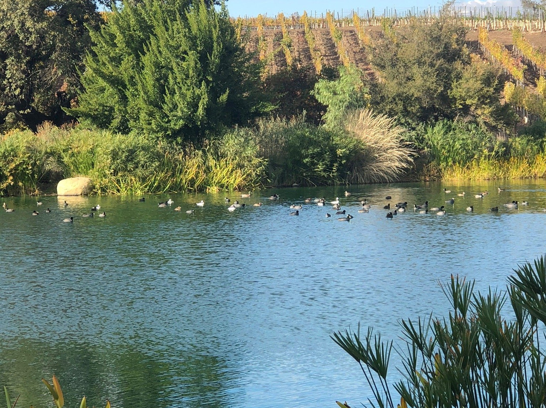 Solvang Wine Tours-索尔万必去景点