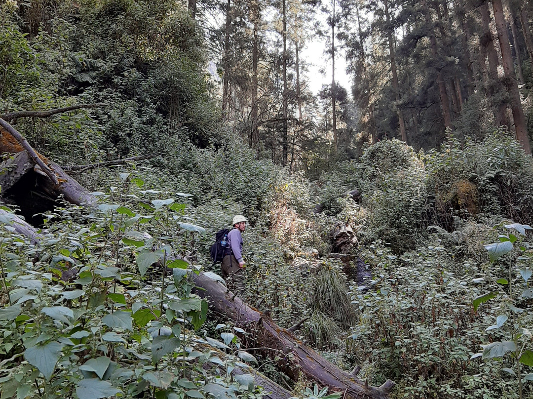 Cascada de los Diamantes