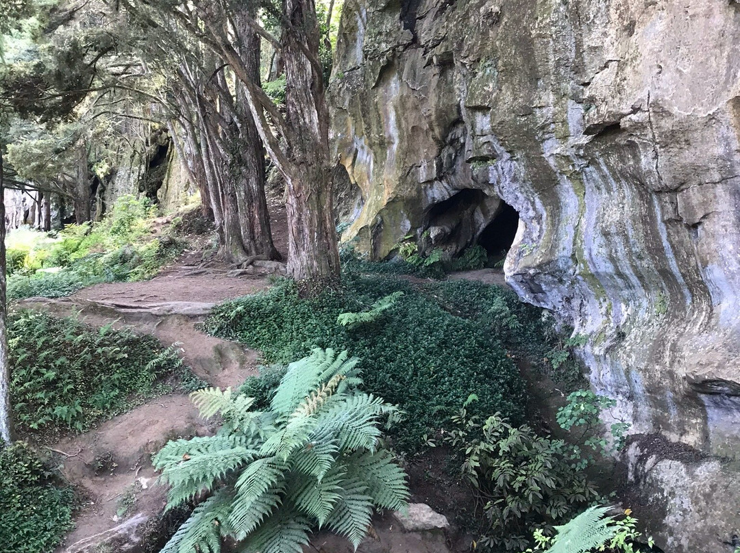Waipu Caves Scenic Preserve景点图片