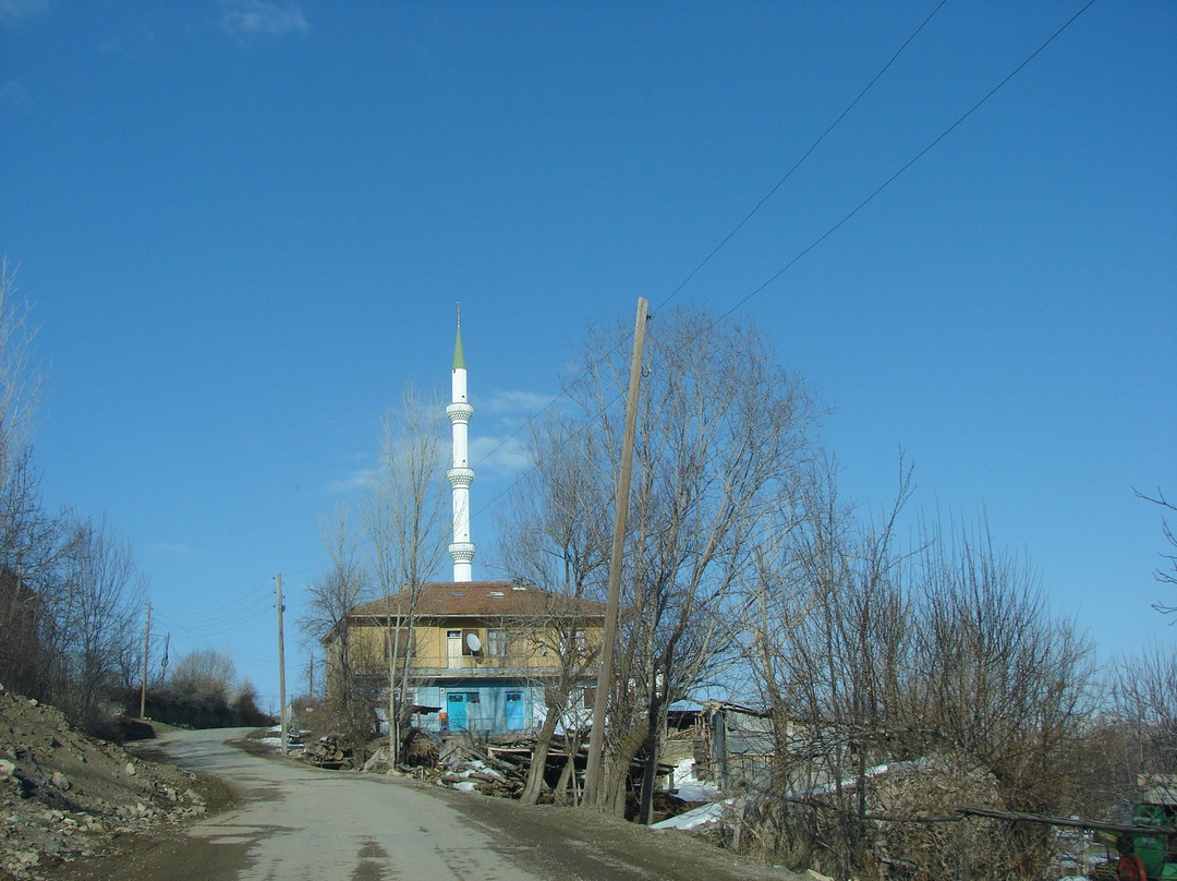 Satala (Sadak) Antik Kenti景点图片