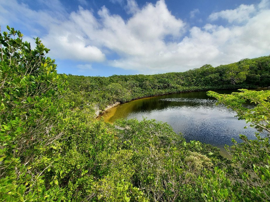 Cottage Pond-North Caicos必去景点