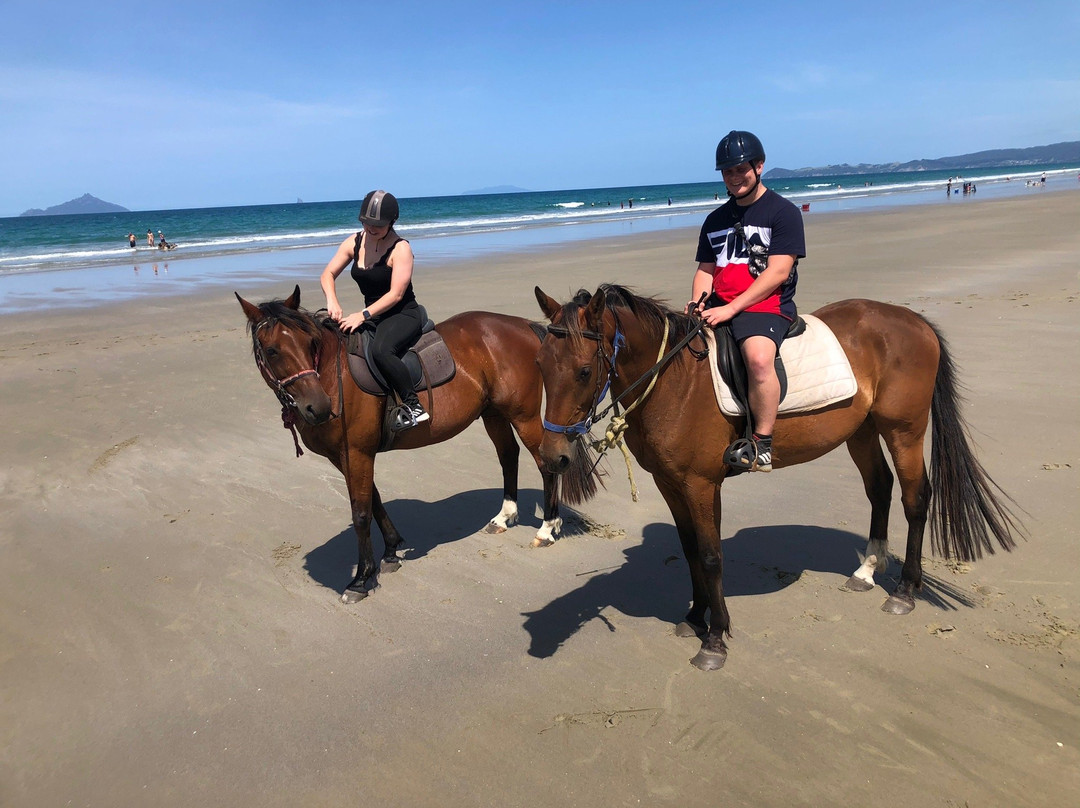 Waipu Horse Adventures-璜加雷必去景点