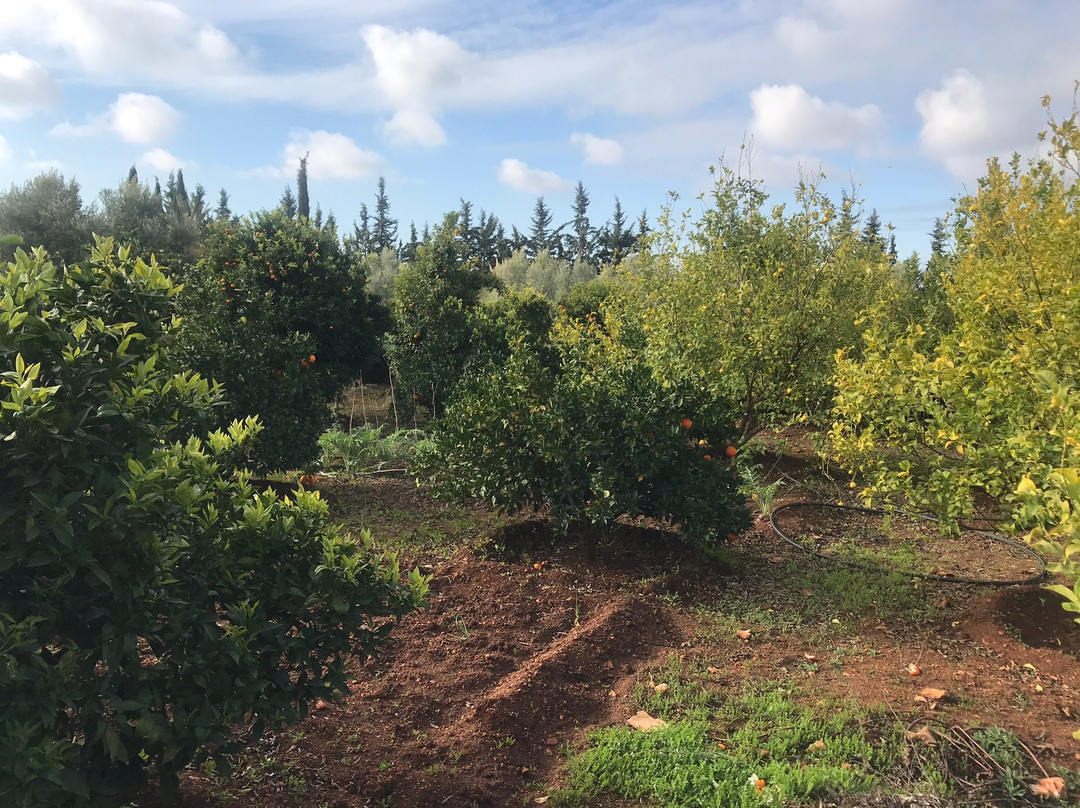 Riad Le Ksar de Fes主图