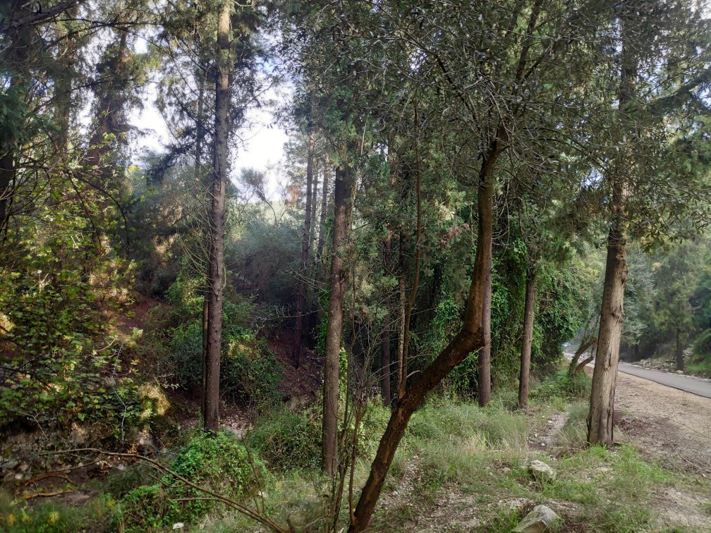 Nachal HaShofet - Shofet River-Ramot Menashe必去景点