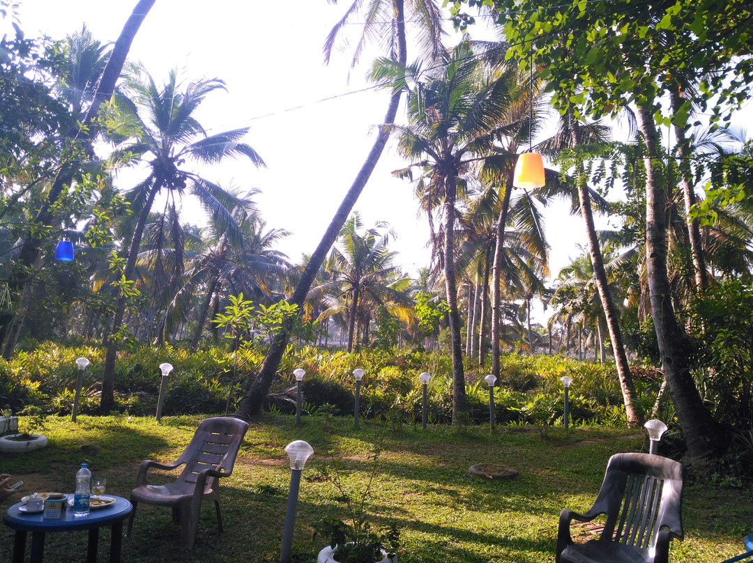 Munroe Paradise主图