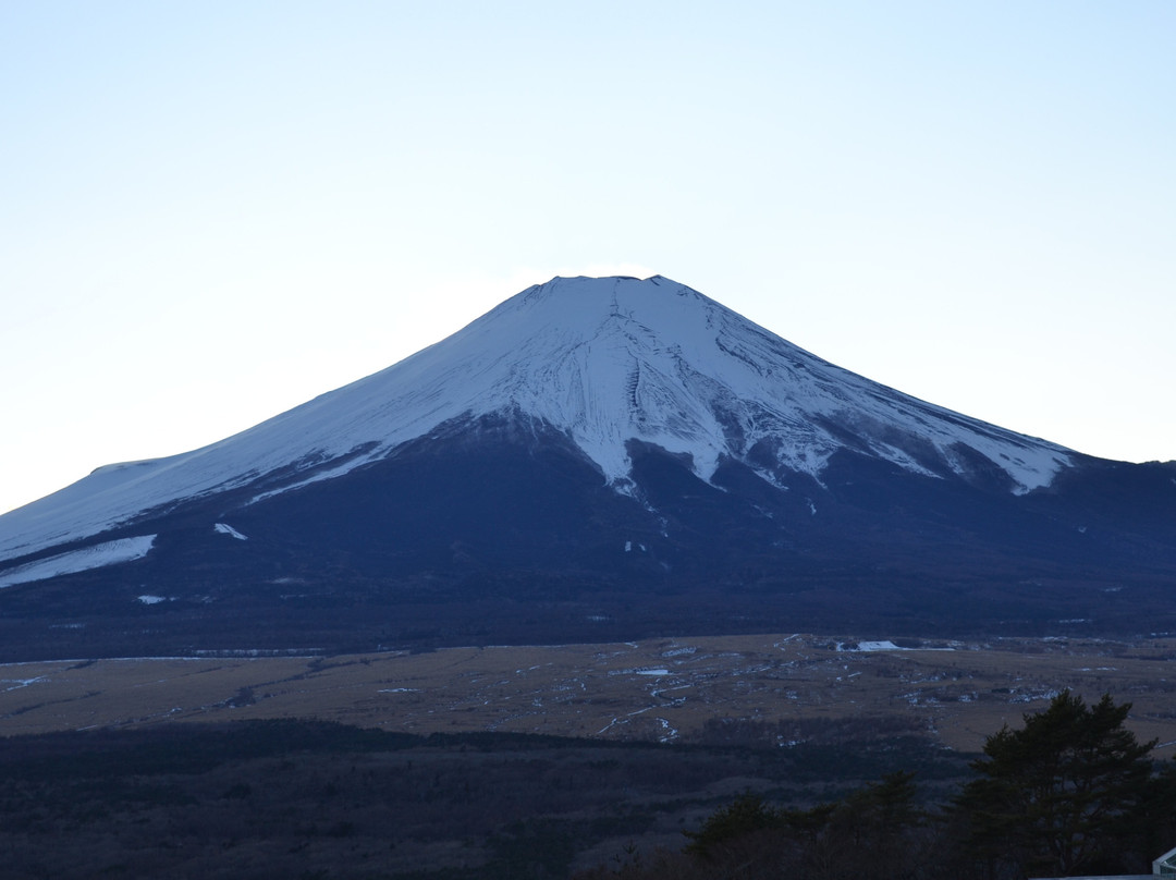 富士山酒店主图
