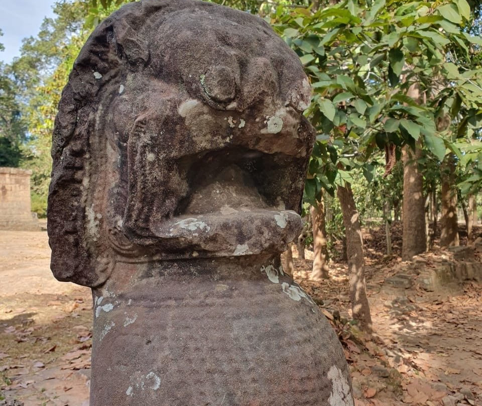 Side Street Explorers-约翰内斯堡必去景点