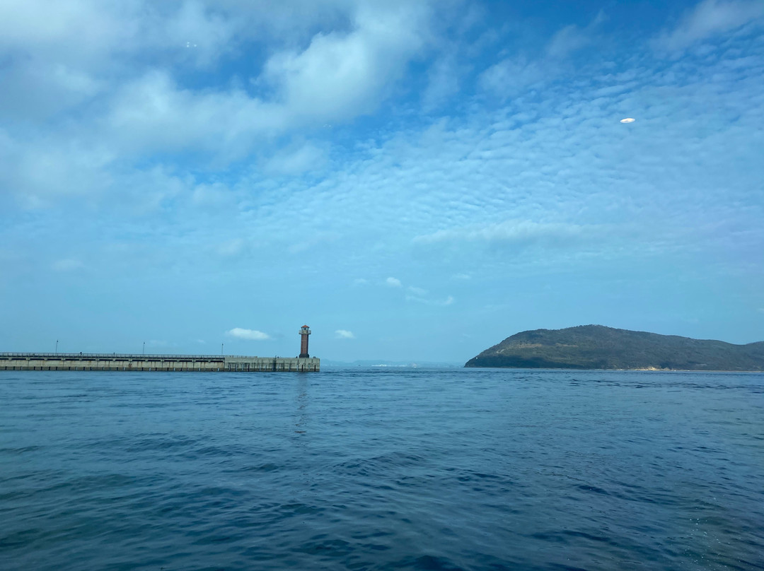 Shodoshima Ferry景点图片