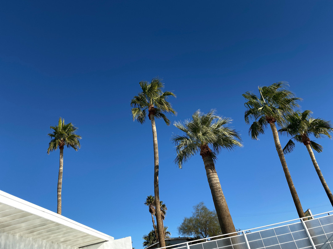 Sagewater Springs主图