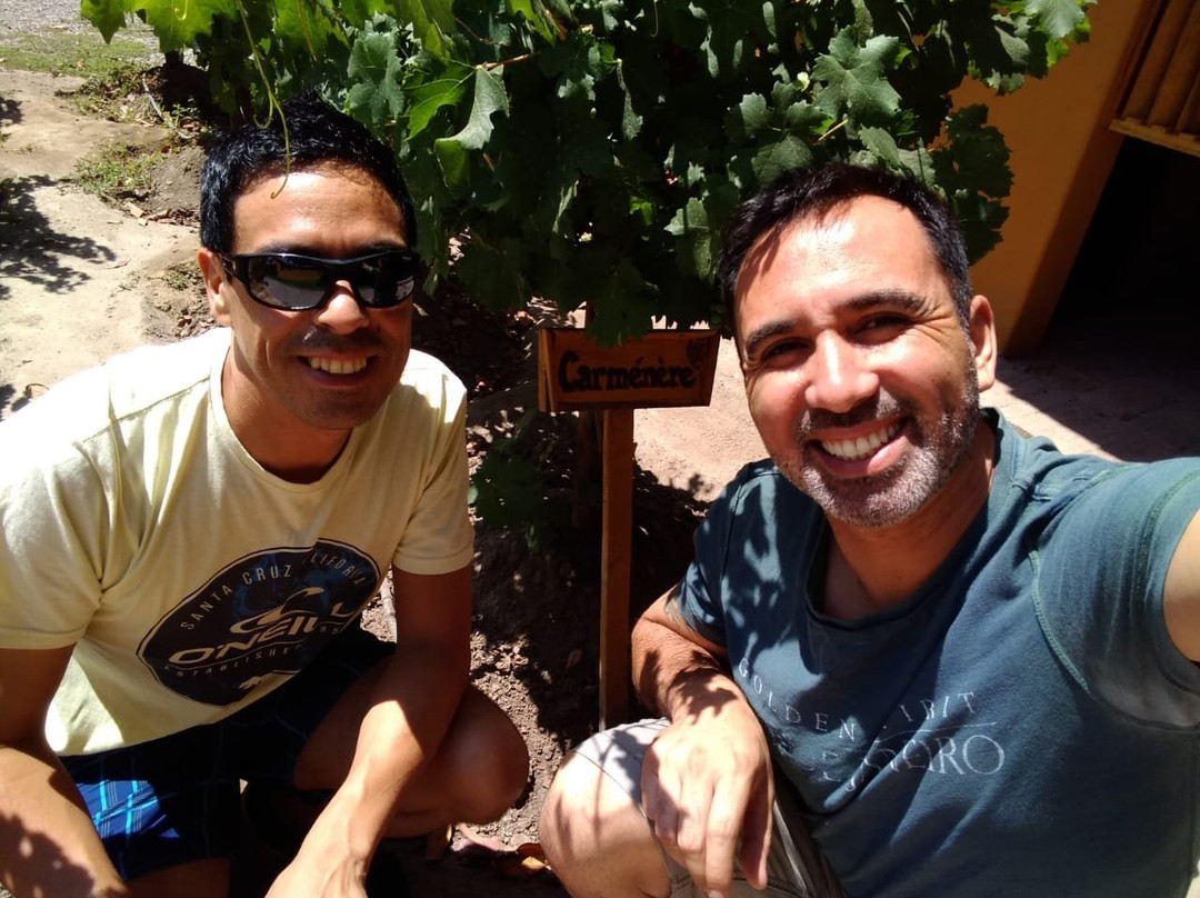 In Situ Family Vineyars-Los Andes必去景点