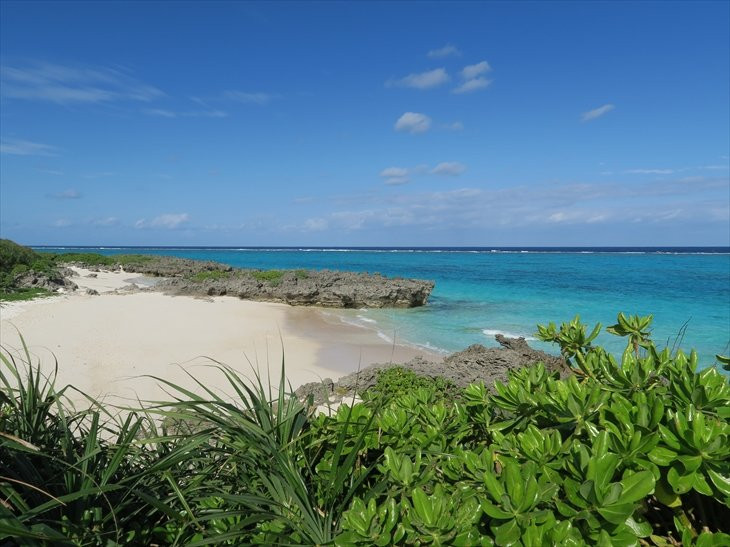 Terasaki Beach景点图片