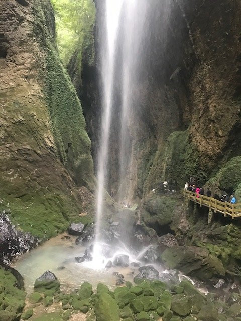 重庆武陵山森林公园景点图片