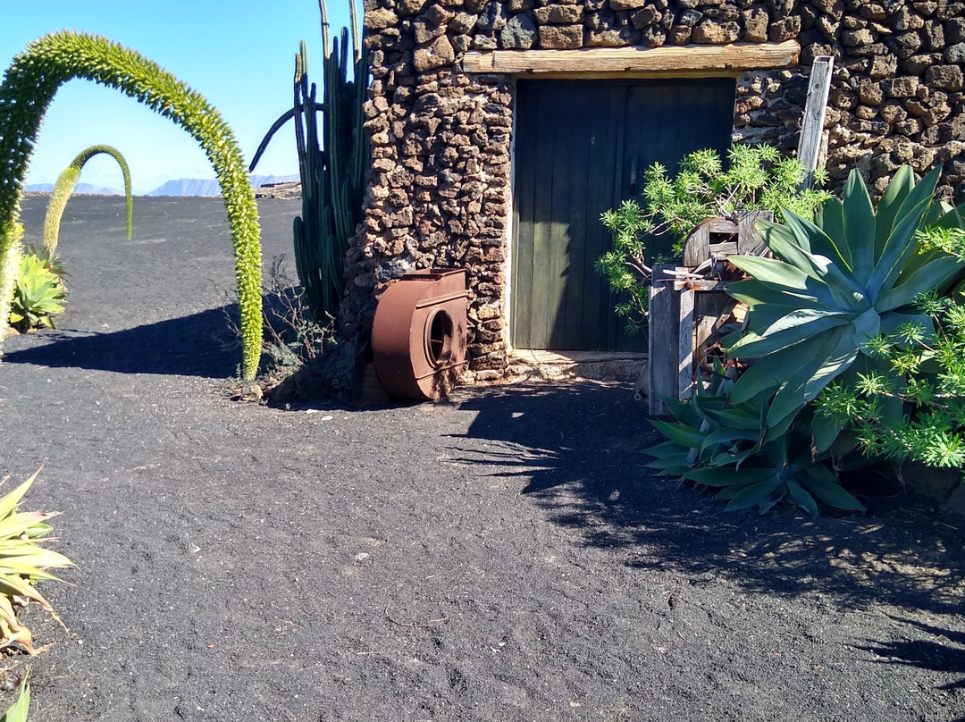 Museo Agricola el Patio-兰萨罗特必去景点