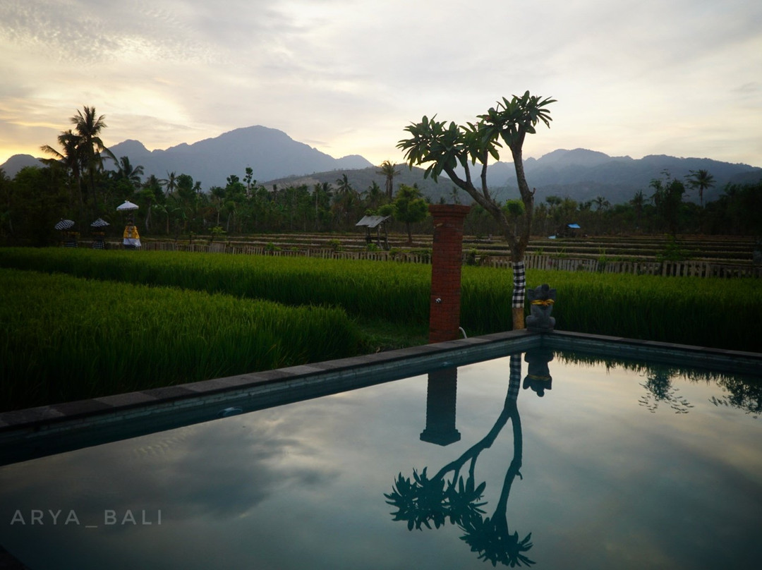 Umma Bali Menjangan主图