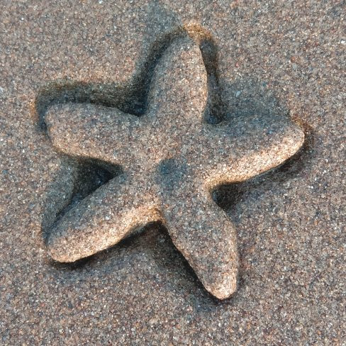 Majestic Residency Beach Resort主图