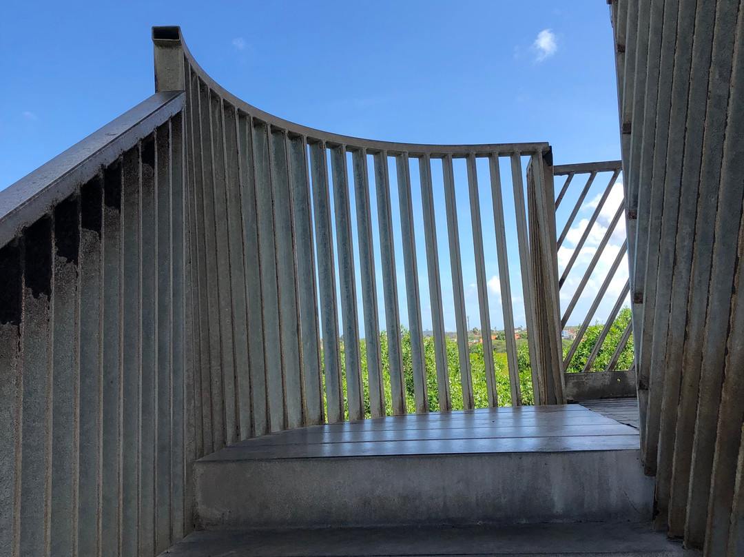 Bubali Bird Sanctuary-棕榈/鹰海滩必去景点