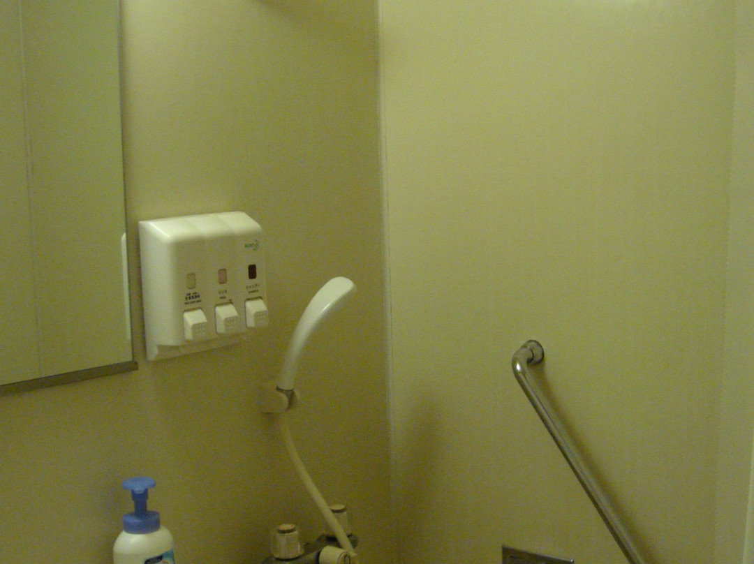 Matsusaka City Hotel主图
