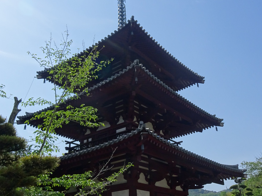 Horinji Temple景点图片
